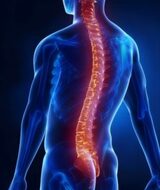 Book an Appointment with Chiropractic Adjustment at Twin Cities Metabolism