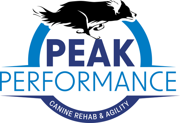 Peak Performance Canine Rehabilitation and Agility 