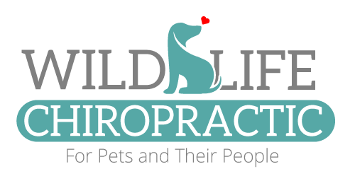 Wild Life Chiropractic