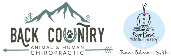 Back Country Animal & Human Chiropractic