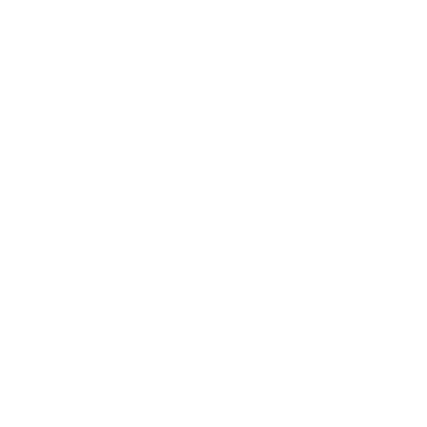 Traditional Acupuncture Plus