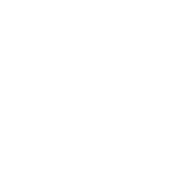 Elevated Physical Therapy